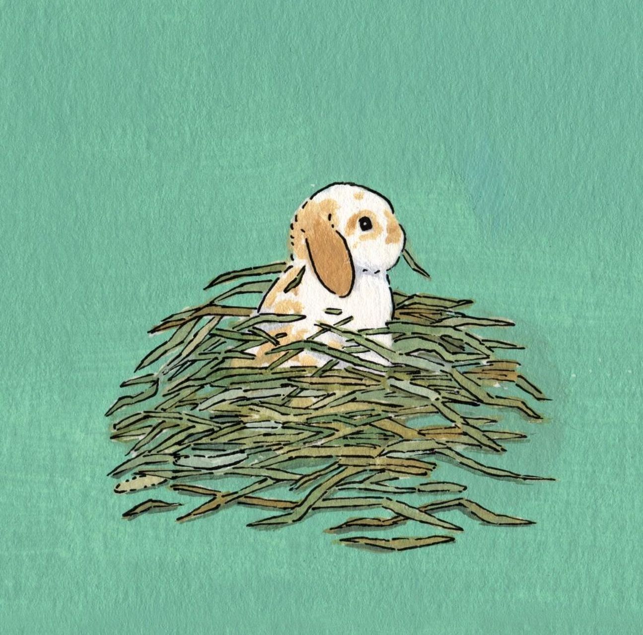 这是你们正在吃草的兔兔嘛 快来认领兔兔98 插画完美还原了吃草中的