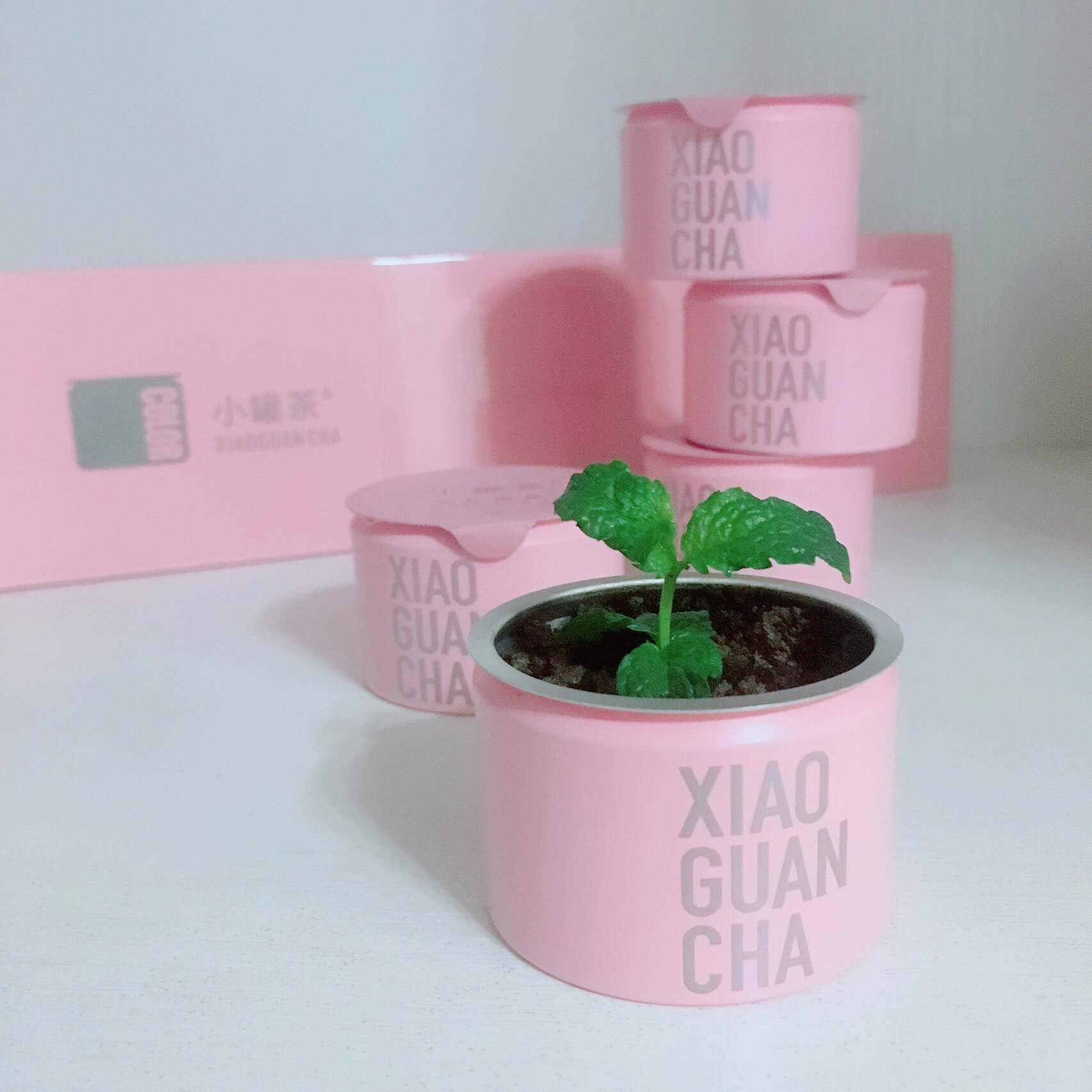 小罐茶的空罐子,还能做些啥