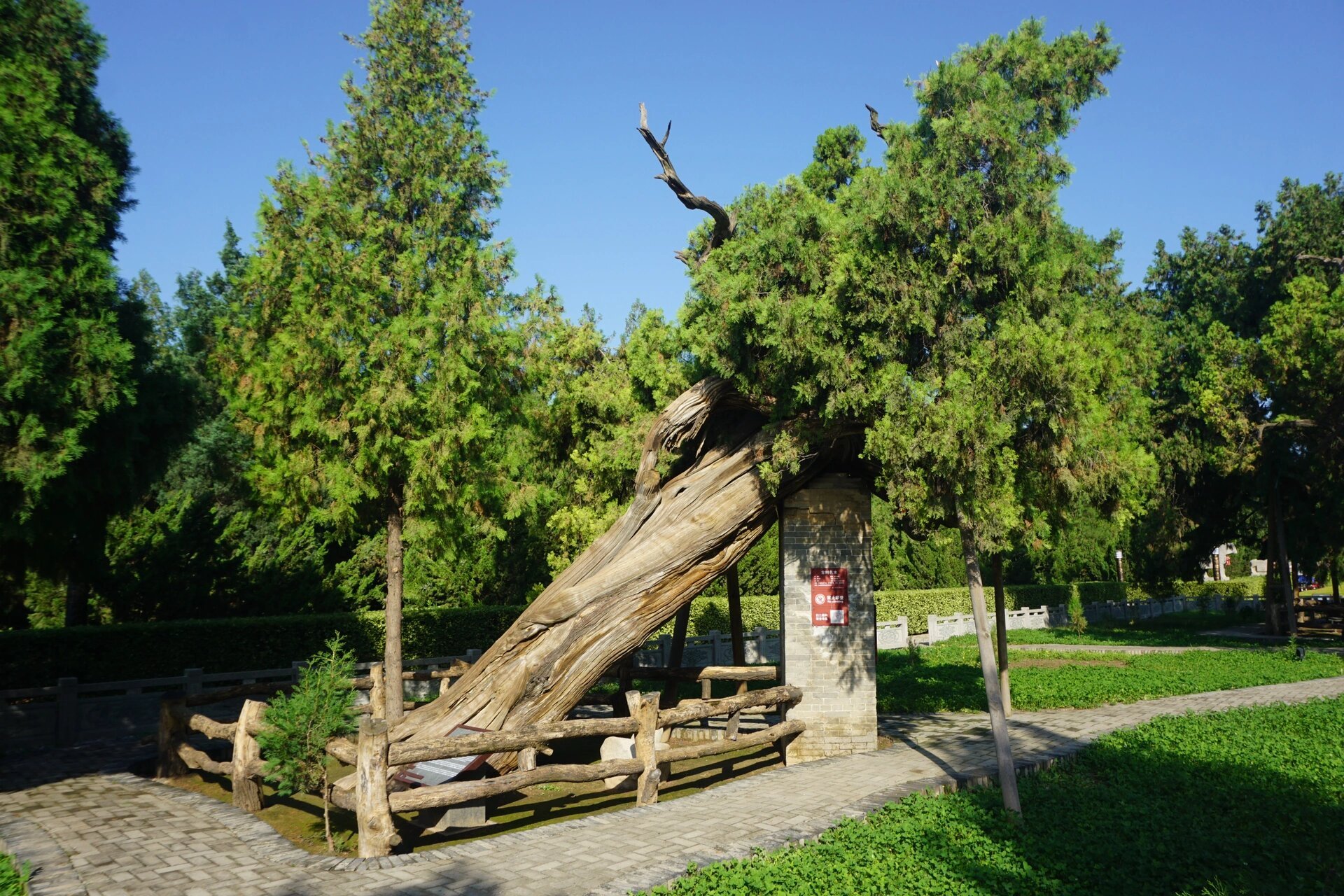 运城舜帝陵|三皇五帝的遗迹和宏大古建筑群 75地点:舜帝陵庙,位于