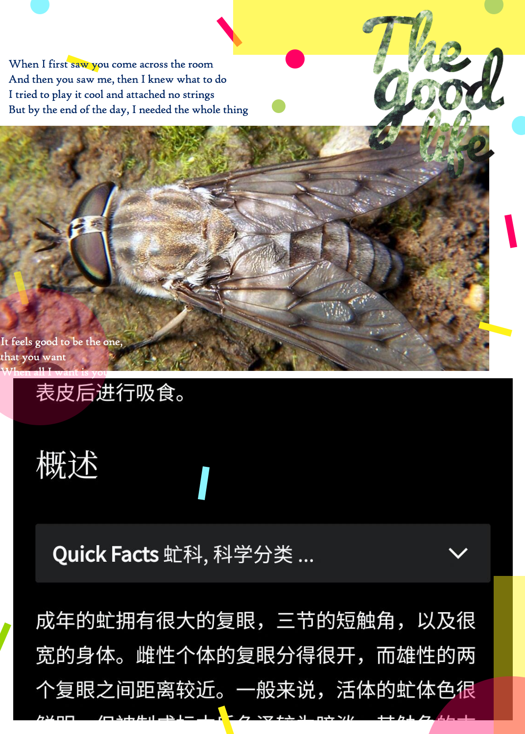 姐姐我竟然遭遇了这辈子第一次的"虻"攻击!