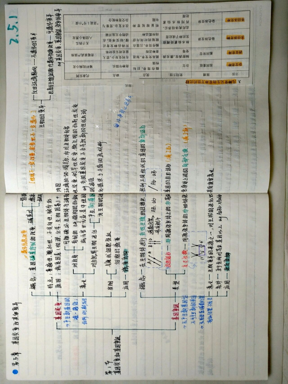 生物 必修二 第五章 思维导图 常有小伙伴说不会画大括号,今天换了一