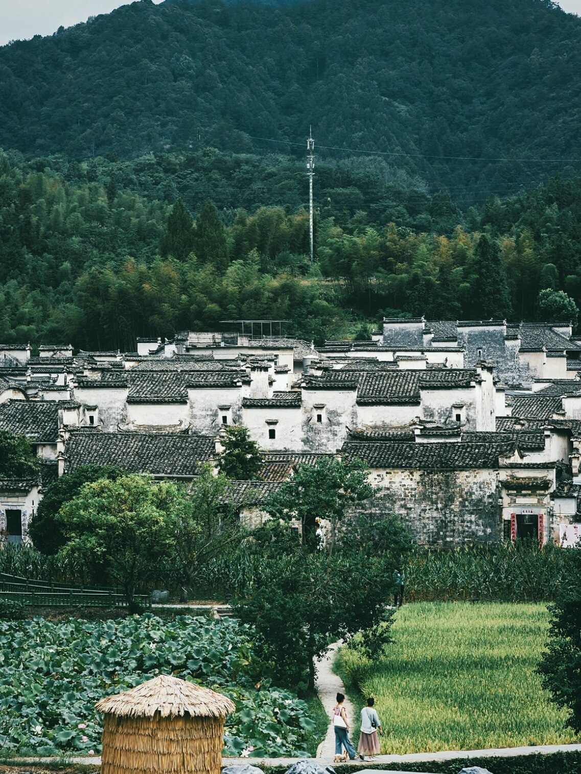 黄山/西递古村落 (最美古村落)