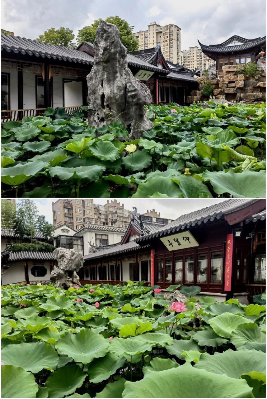 78在江苏南通福田寺为李玟供奉永久莲位 95在江苏省南通市福田寺