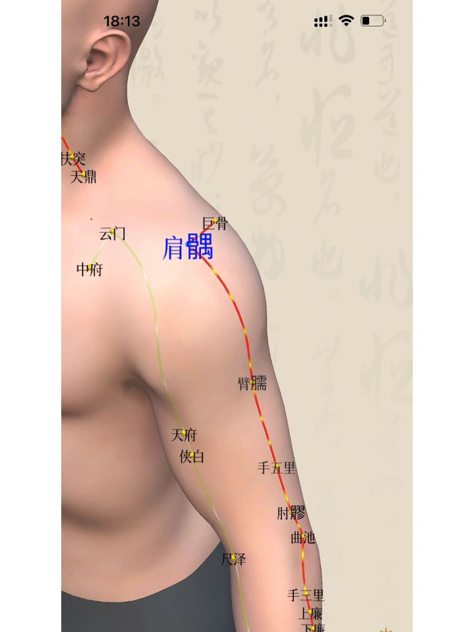 定位:在三角肌区,肩峰外侧缘前端与肱骨大结节两骨问凹陷中.