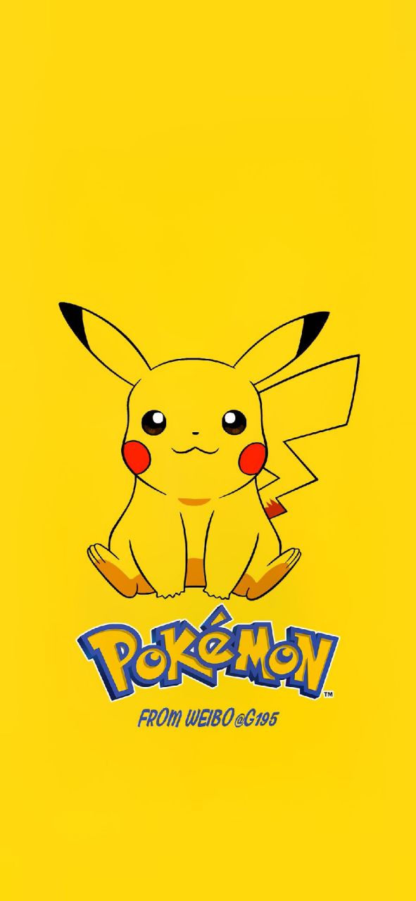 皮卡丘》的封面