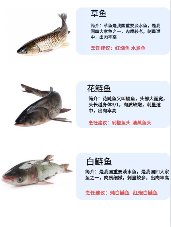 常见淡水鱼种类的区别和特点!鱼类说明书