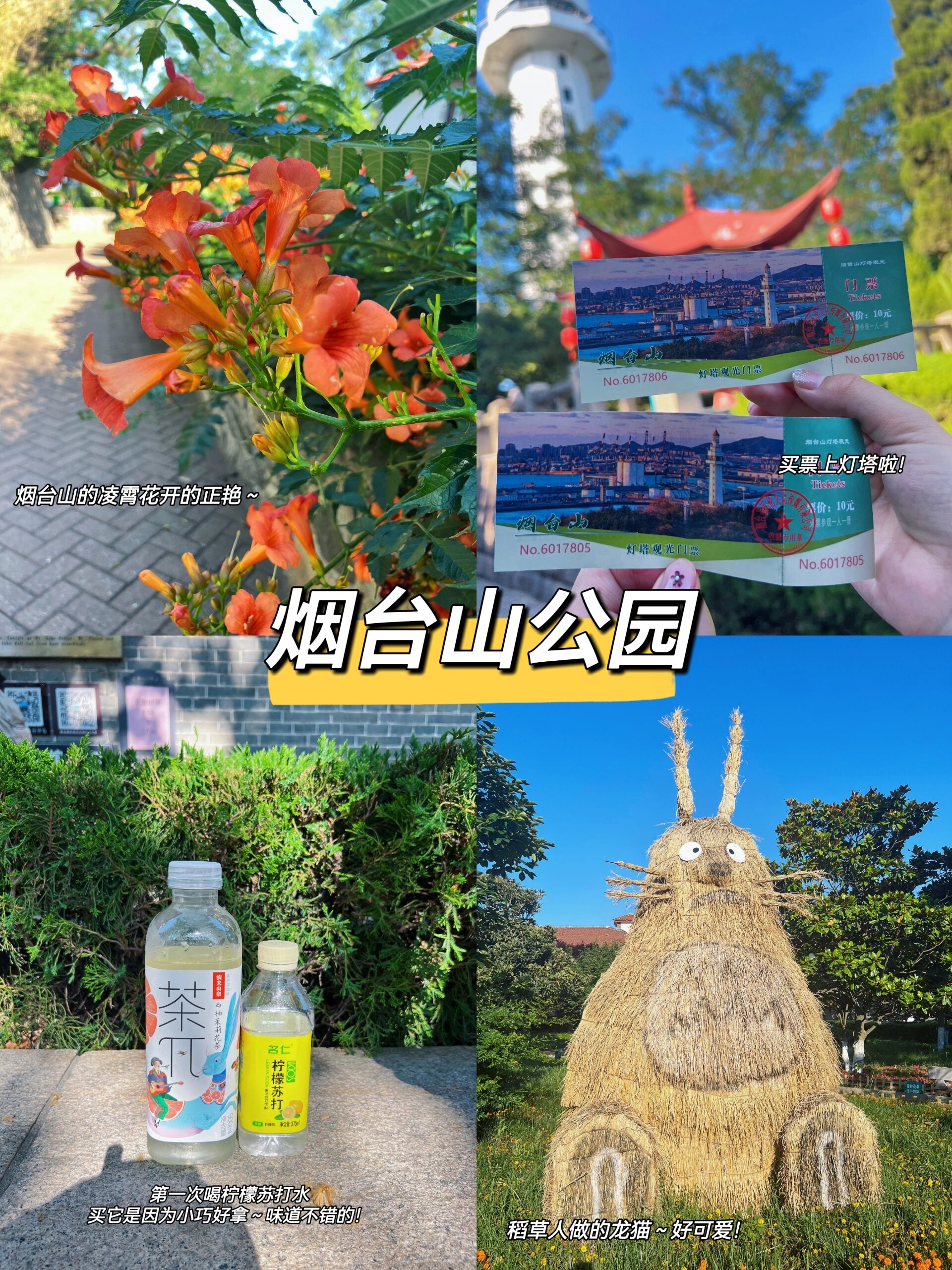 烟台山公园门票图片