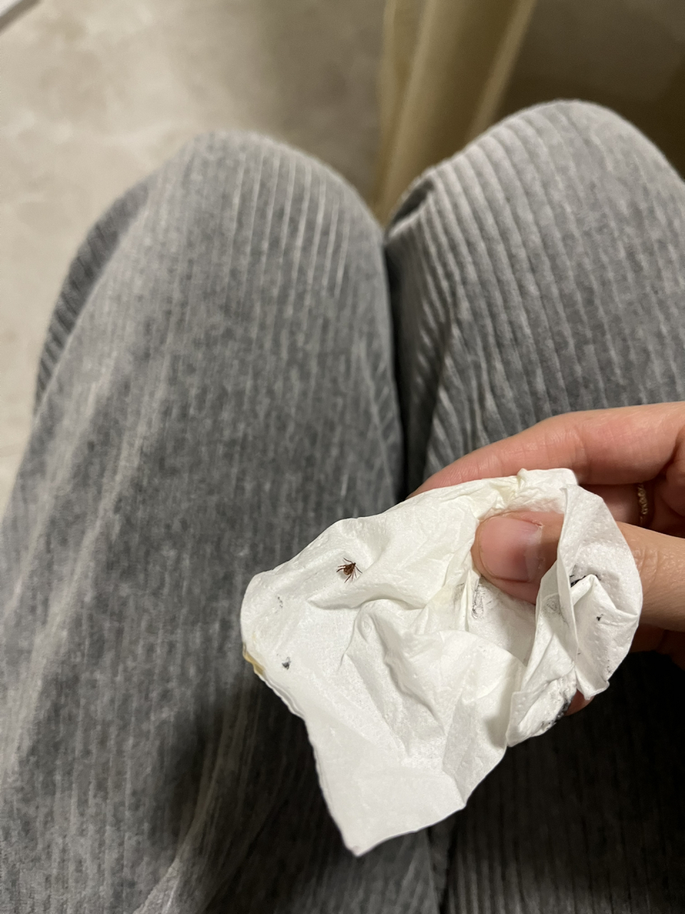 一个半月就发现有虱子,途手抓了几个… 一身鸡皮疙瘩