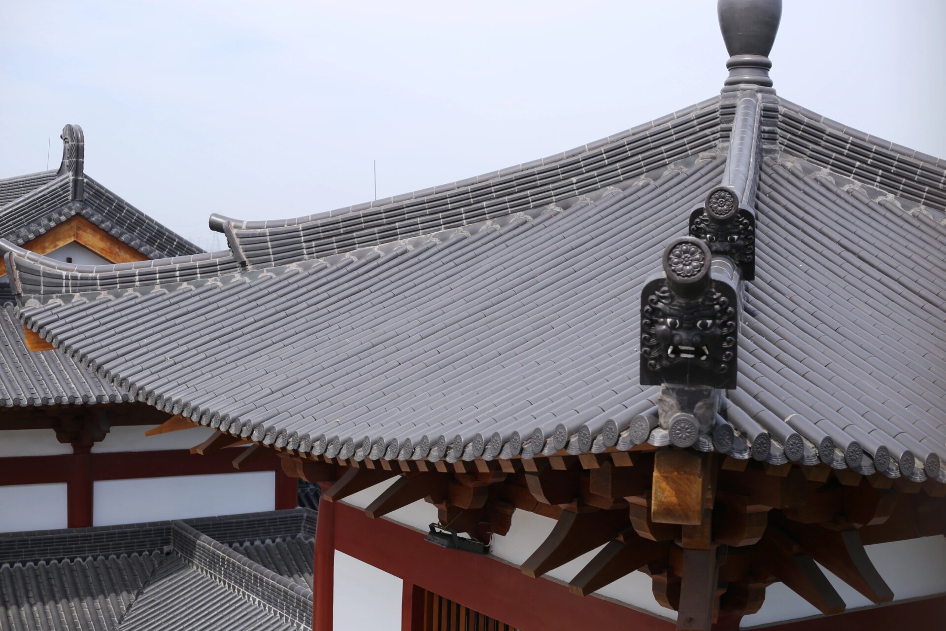 嘉兴普光寺(1):一个人,扛起一座寺 从上海出发,行车一个多小时,便能