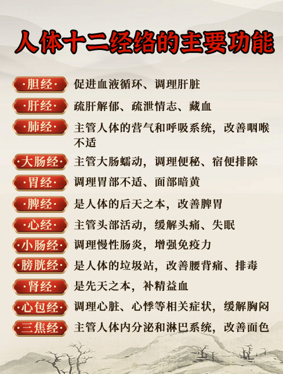 人体十二经络的主要功能,干货合集值得收藏 卯时( 5点至7点 )大肠经旺