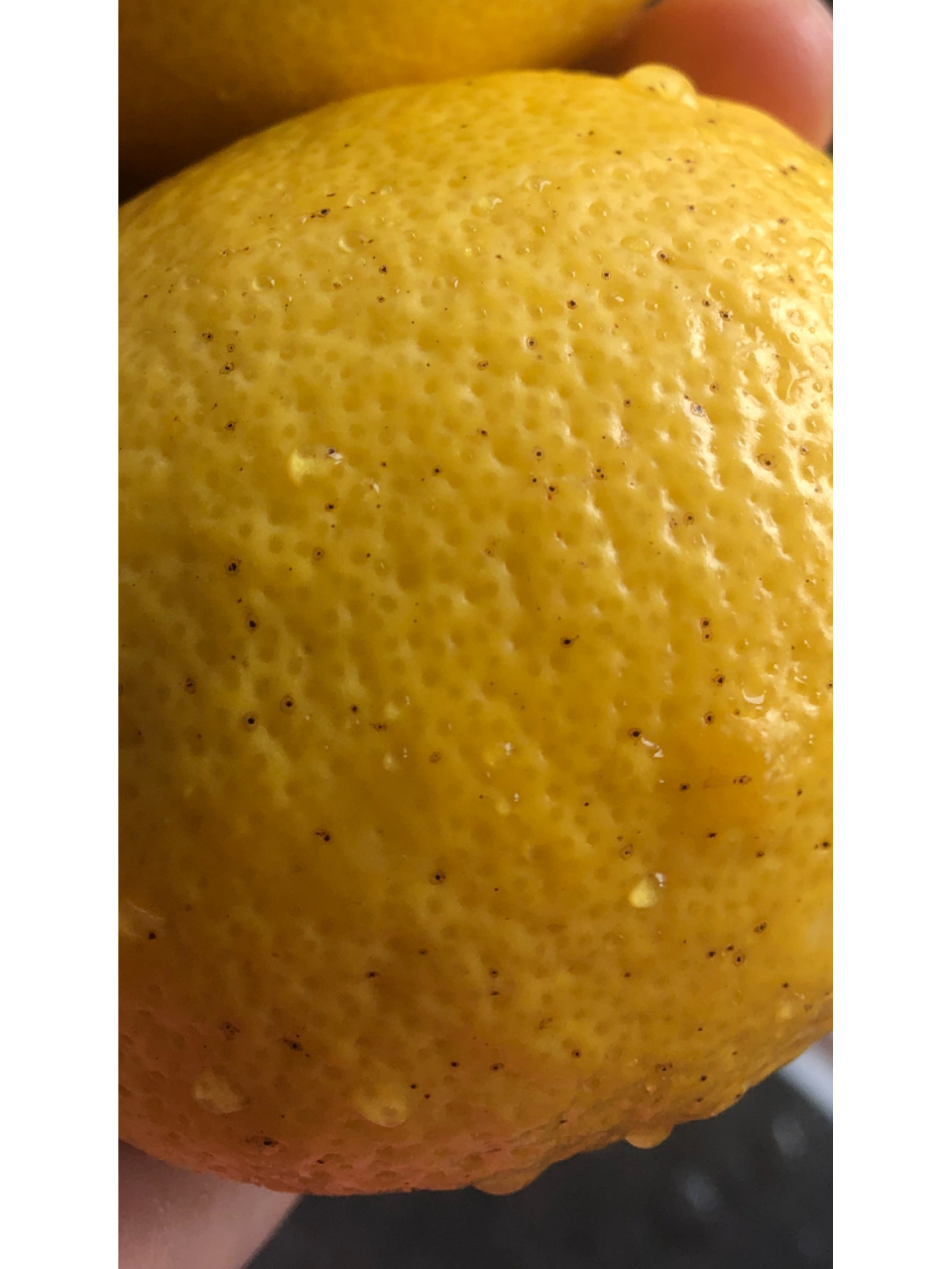 柠檬上的小黑点是什么 清洗的时候发现一颗柠檬有密集的小黑点,还能