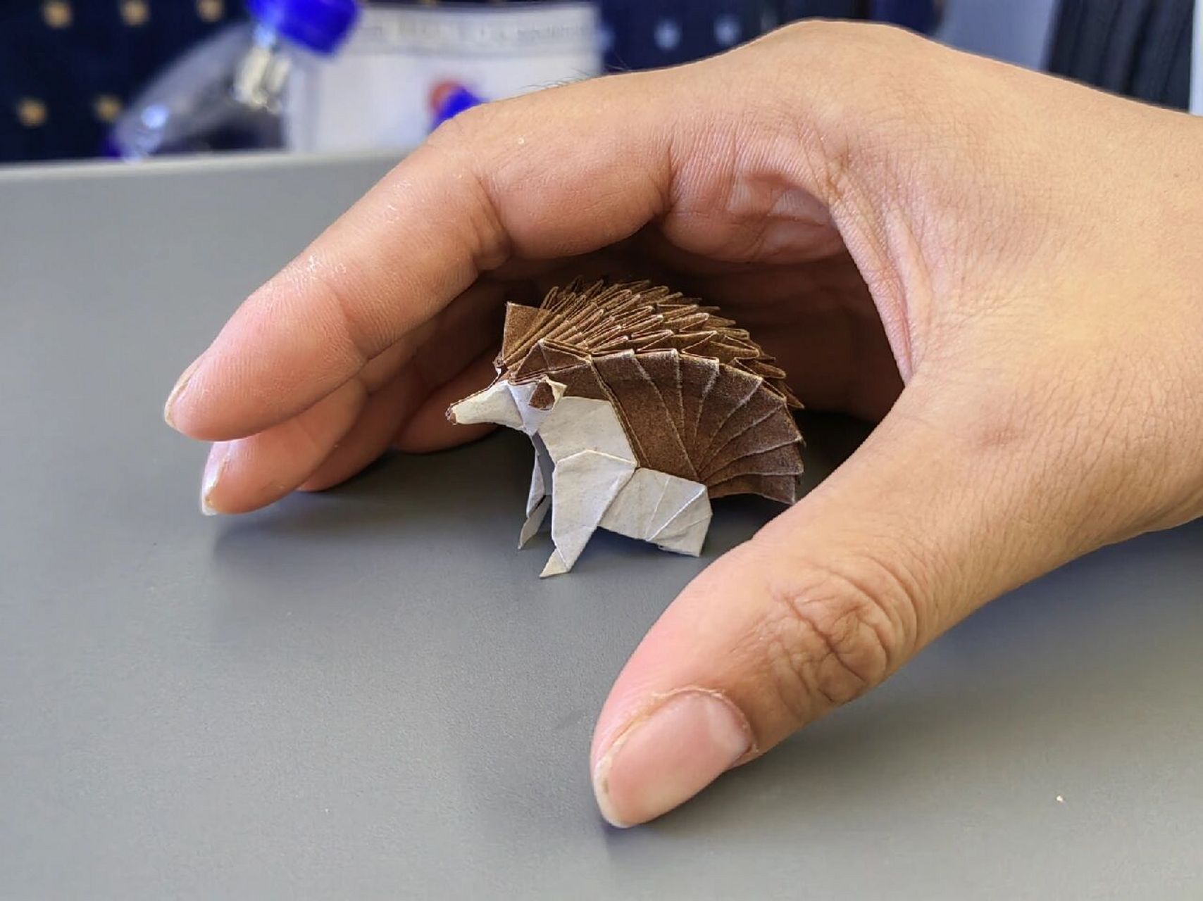 火车上的折纸小刺猬!