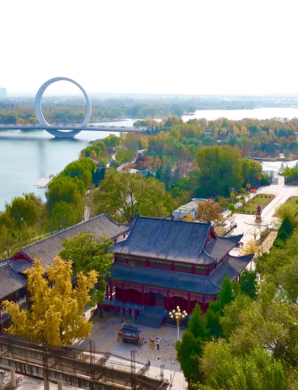 蝶湖法云寺|郑州市1200年最老的银杏树