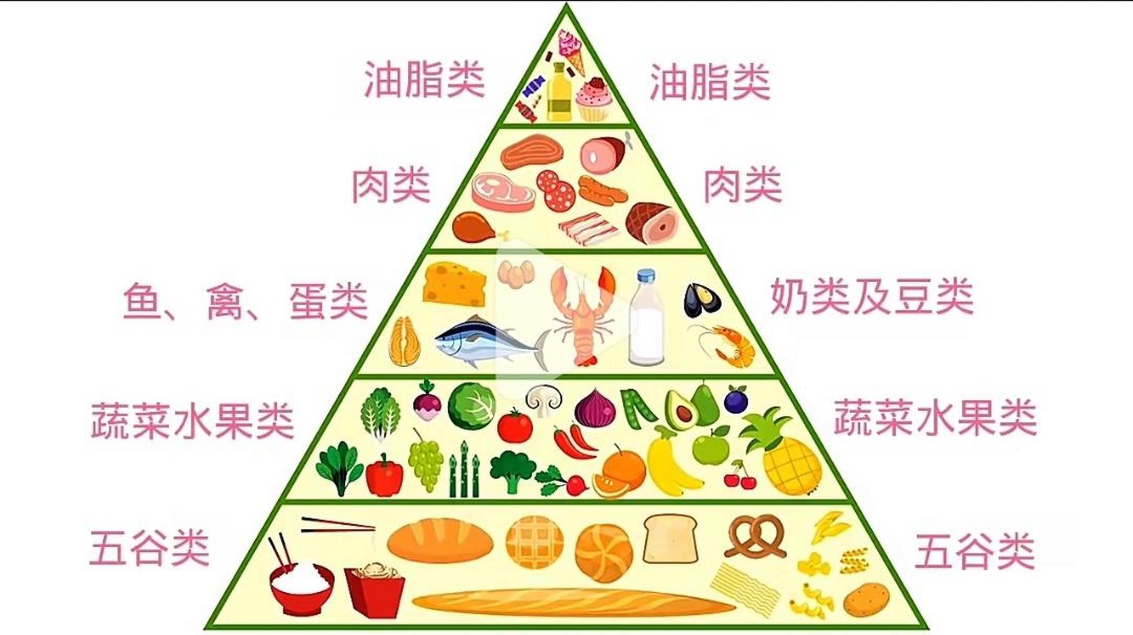 营养金字塔图片等级图片