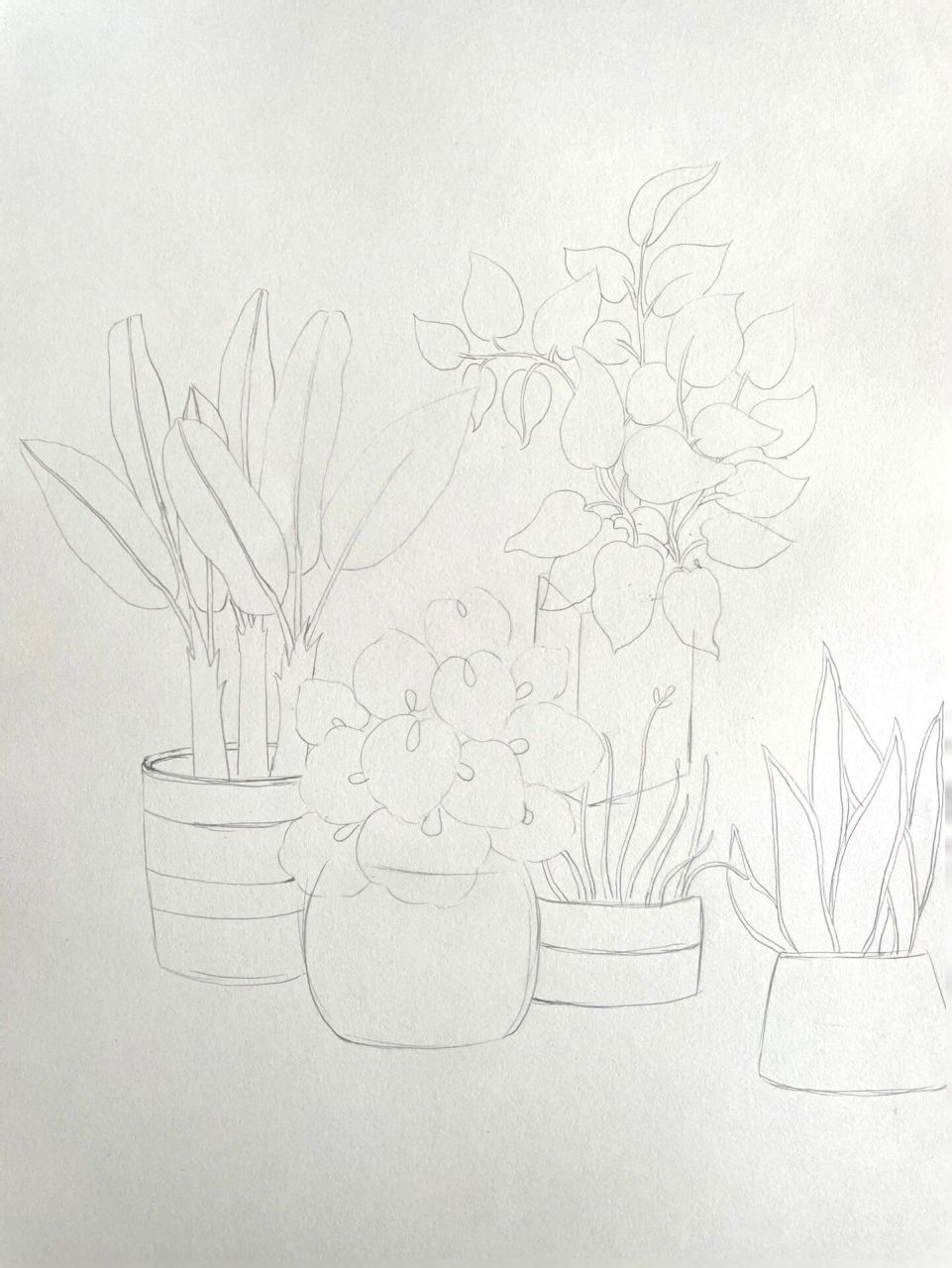 线描《盆栽植物》 画线描需要耐心 感受线条的交织 呈现黑白的美丽