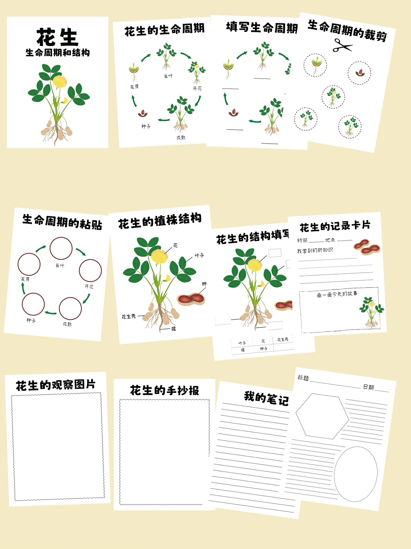 秋季研学手册合集pdf电子版