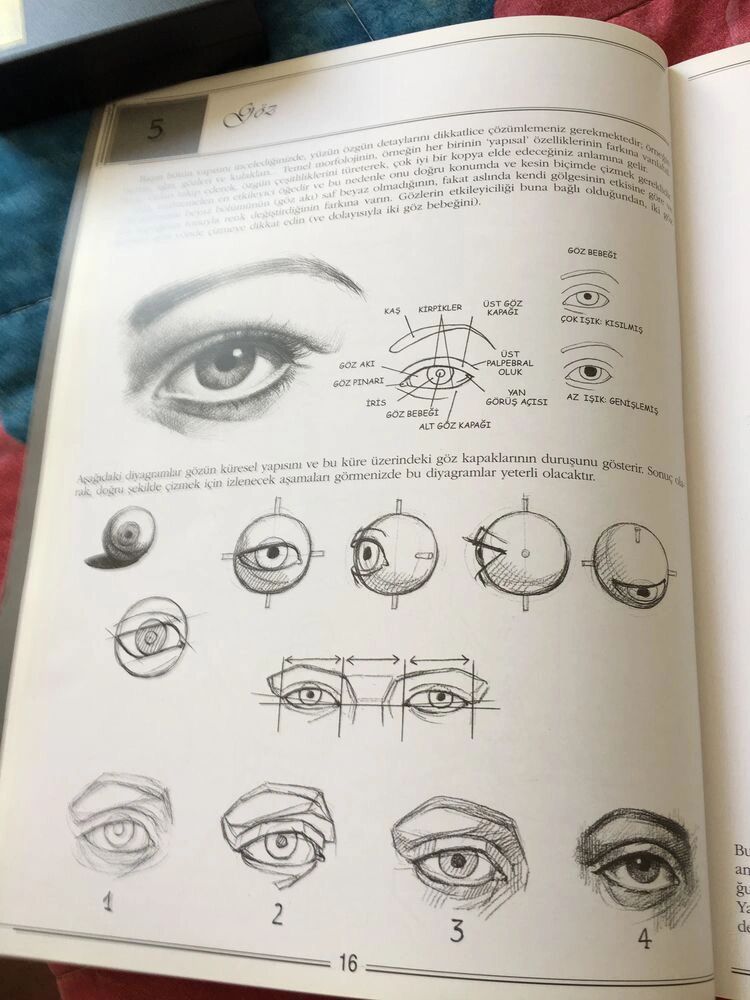 不同角度的素描眼睛结构透视分析