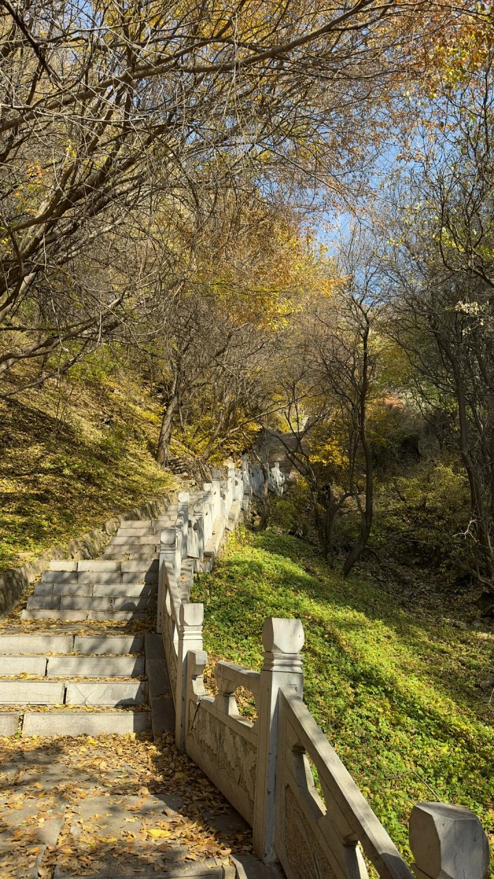 代县赵杲观景区图片