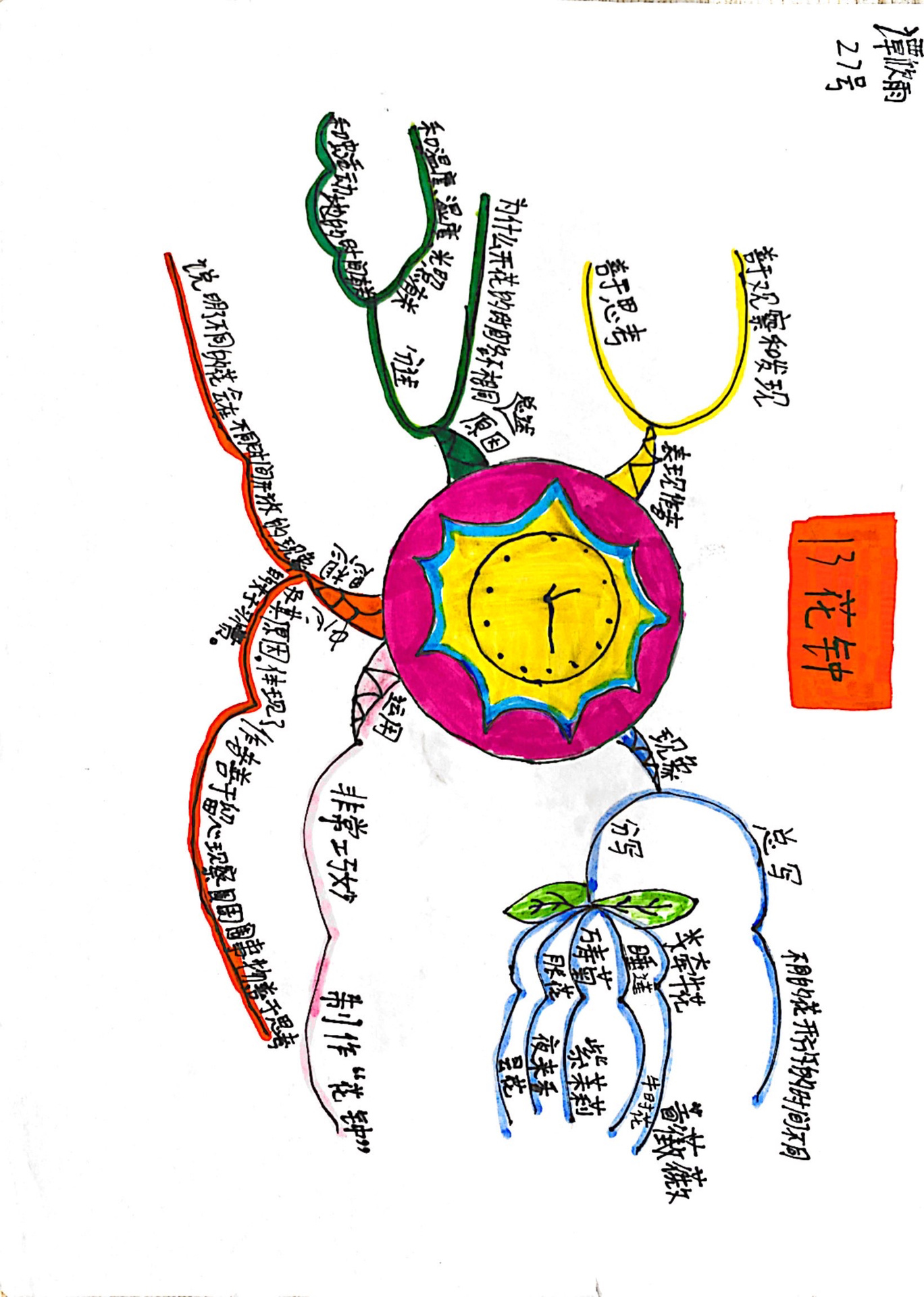 花钟的思维导图简单图片
