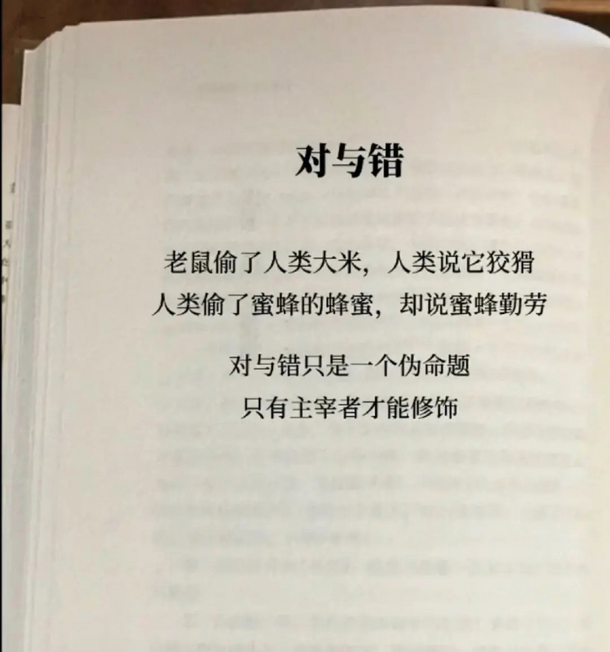 每日语录|对与错