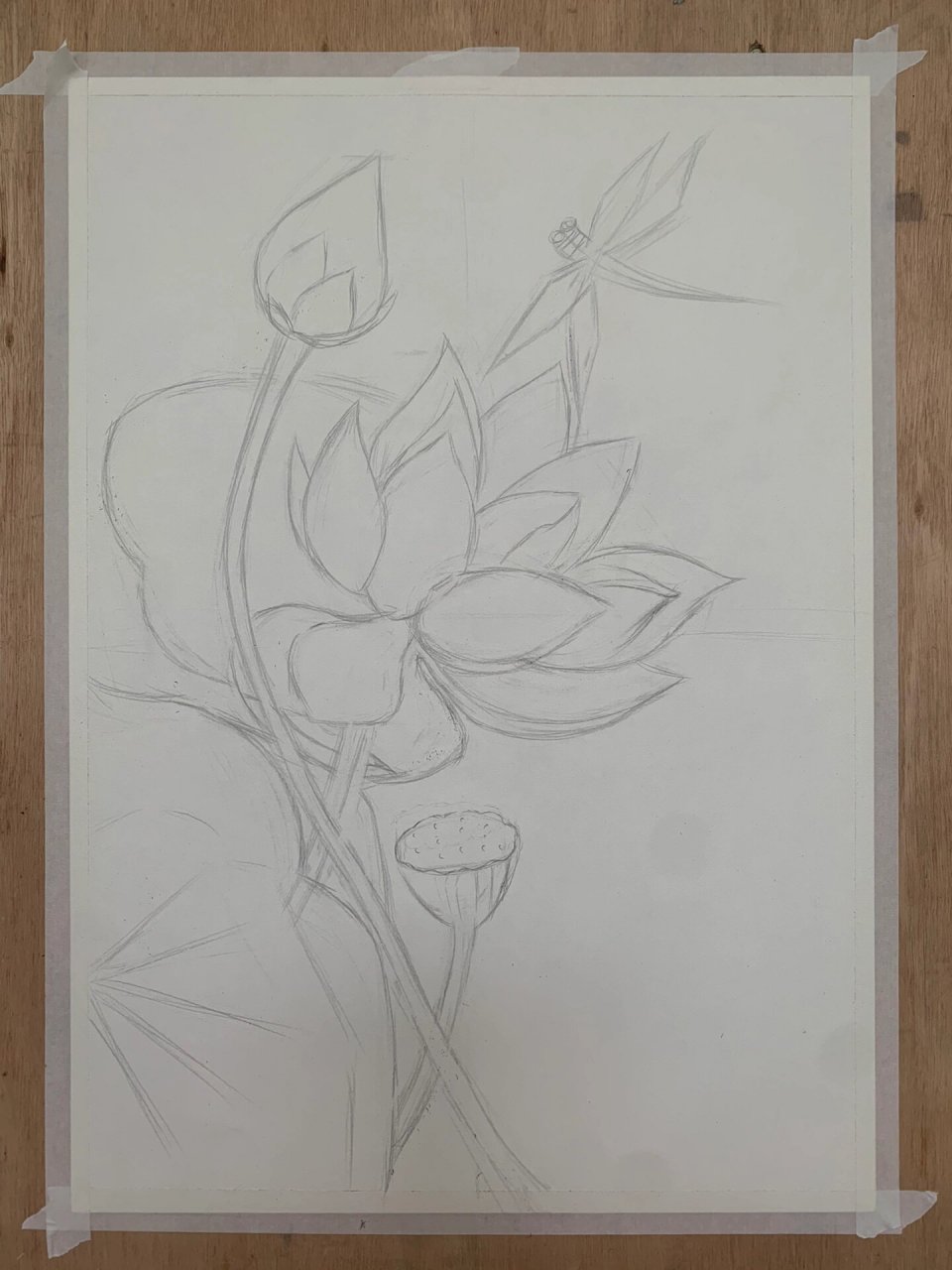 素描～荷花