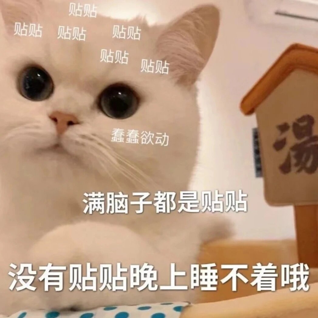 没有贴贴晚上睡不着哦