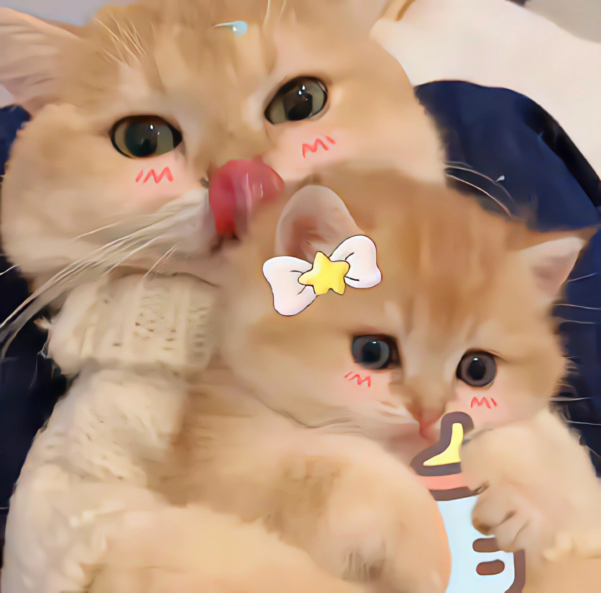 狗狗和猫猫的情头也太可爱了,谁能抗拒呢