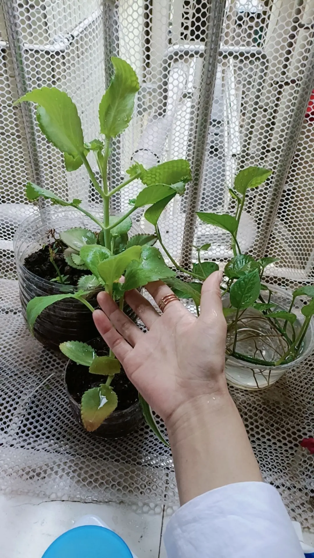 简简单单的一餐人生短短几十年怎么开心怎么过,对