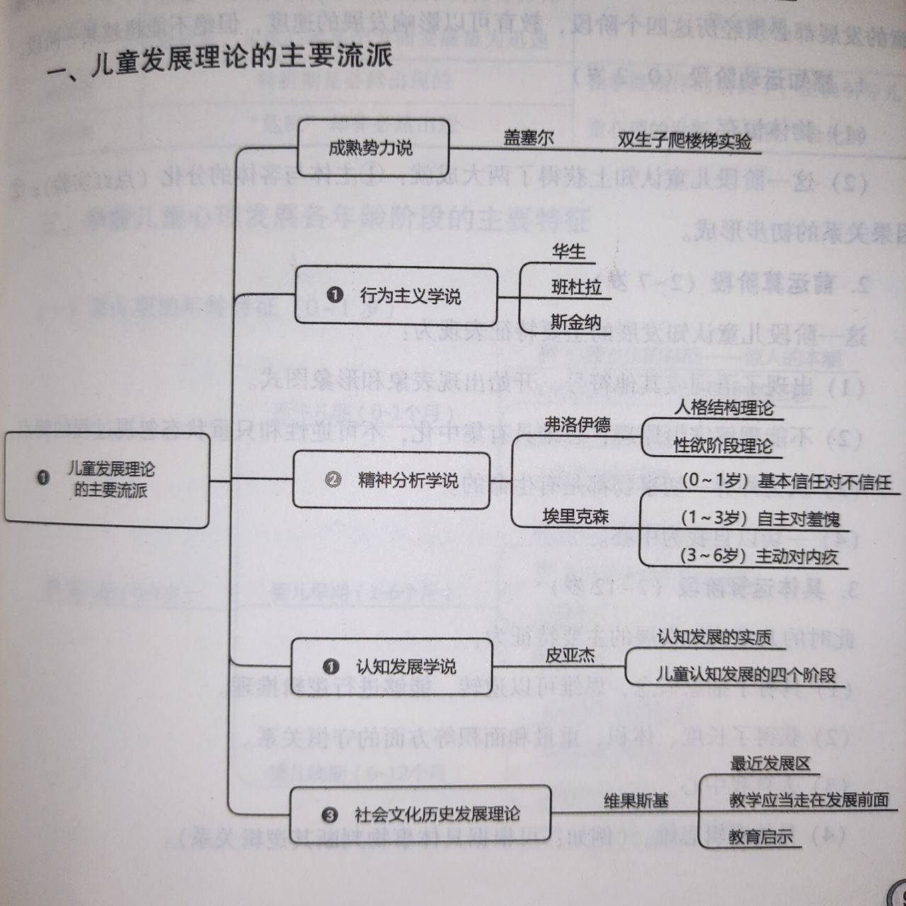 儿童发展理论的主要流派 74⒈成熟势力说:格赛尔(双生子爬楼梯实验)