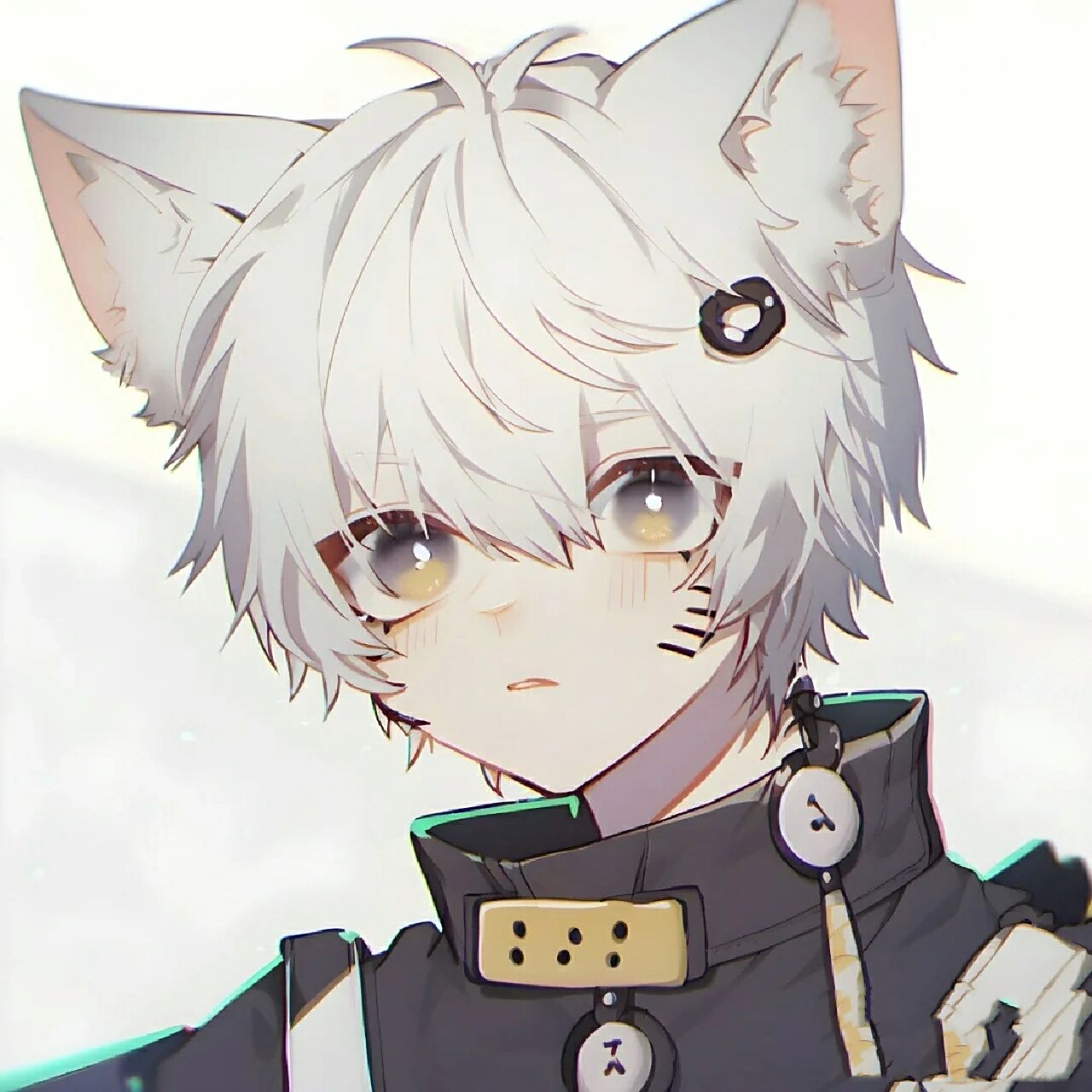 二次元白狐狸少年头像.自行拿图.