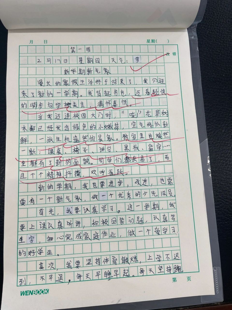 四年级下册第一周周记 四年级下册第一周周记 新学期新气象