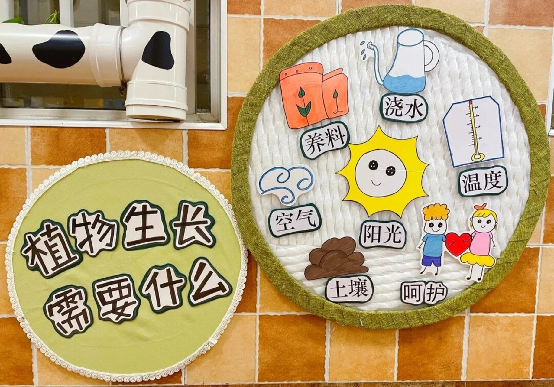 自带滤镜 #自带滤镜# #幼儿园植物角观察记录表