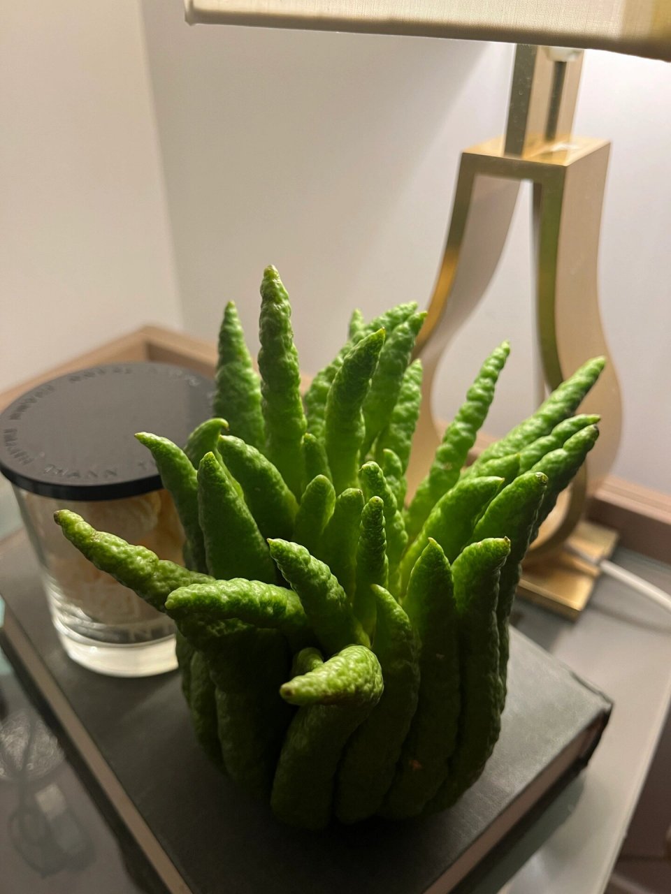 佛手柑|来感受一下佛手招财纳福的巨大能量