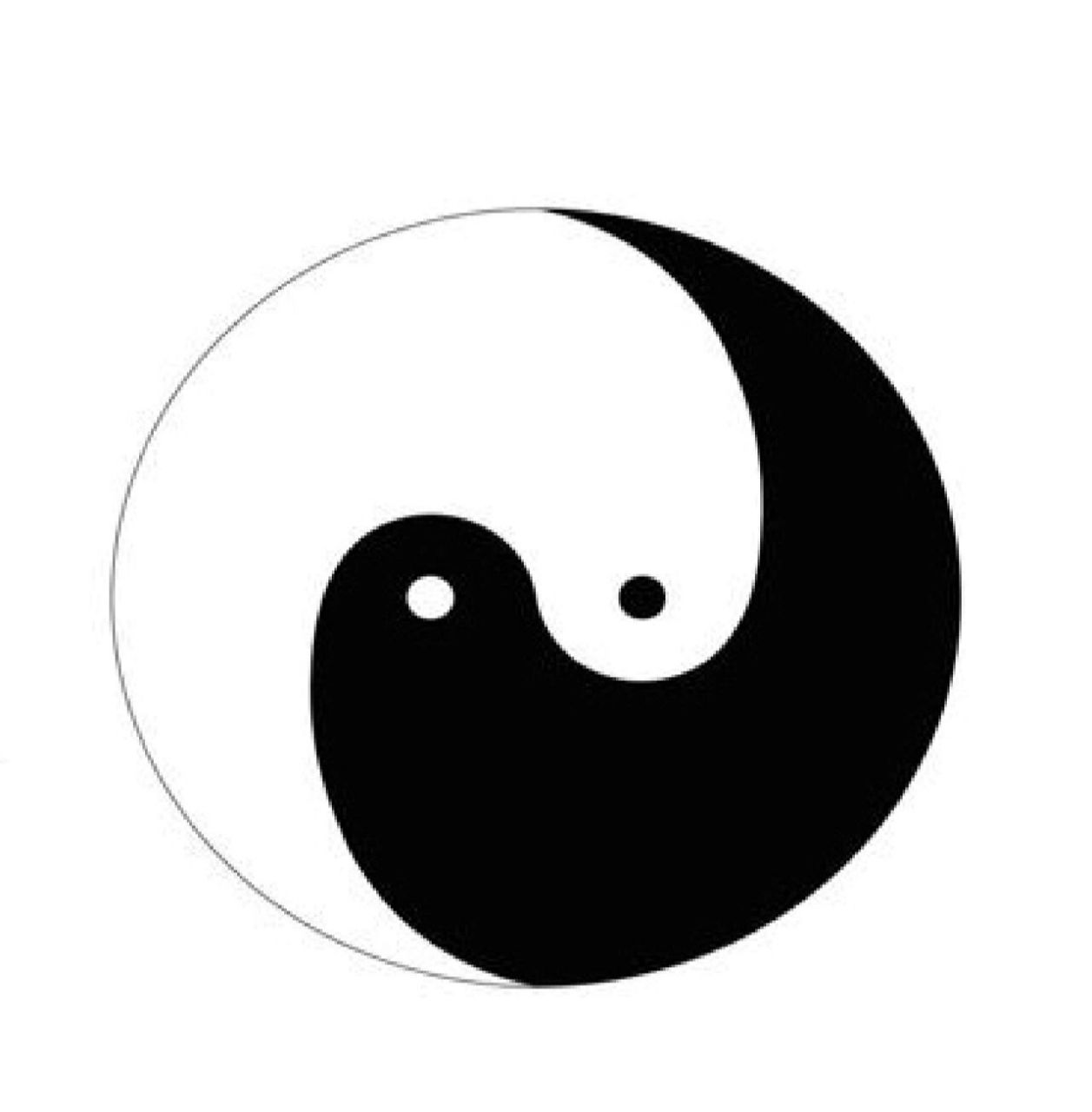 唯一正确的太极图 唯一正确的太极图