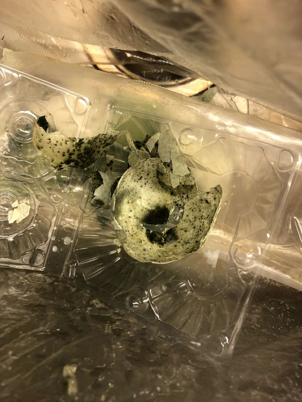 剥开的皮蛋有黑点是坏了吗?