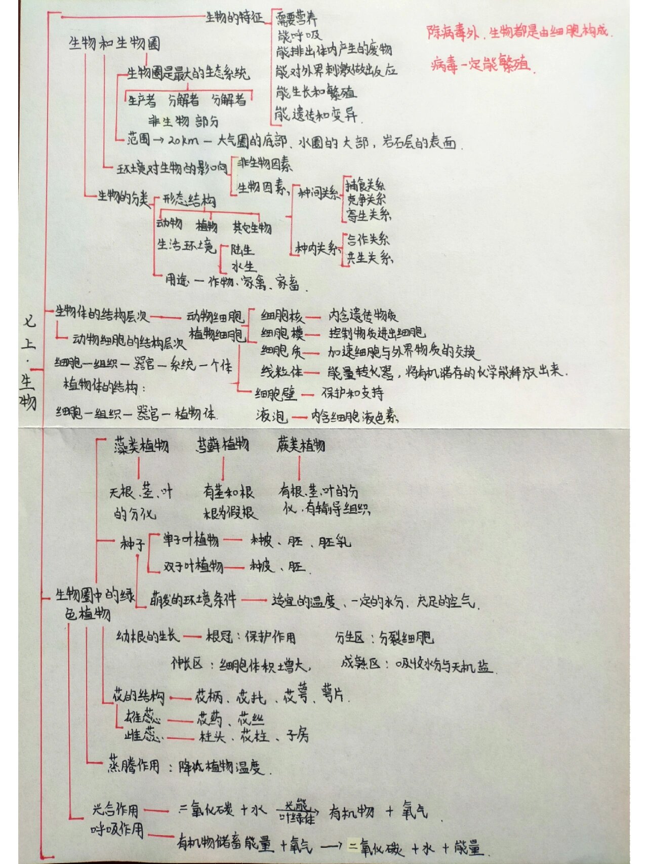 七上走近科学思维导图图片