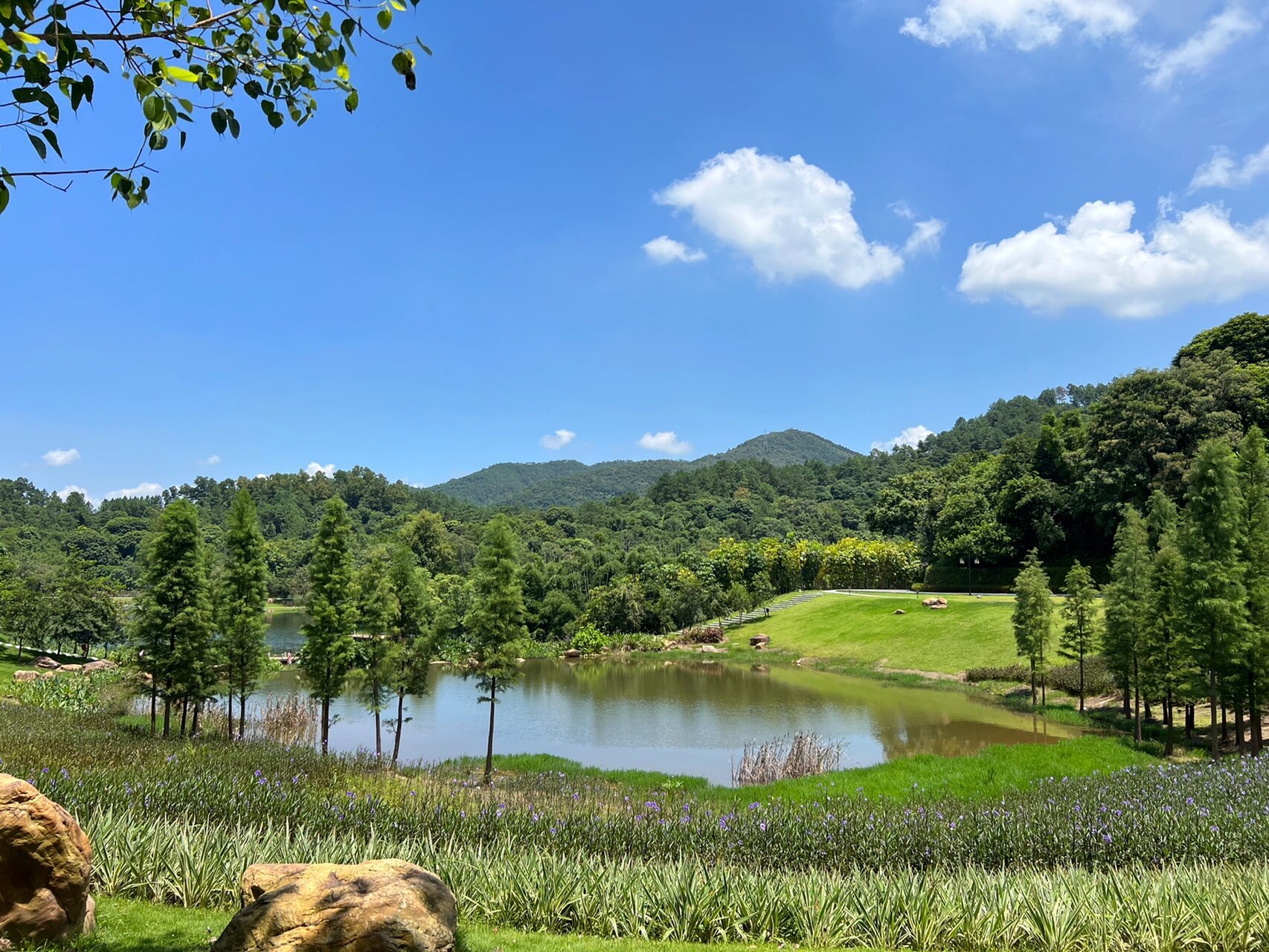 新兴景点大全旅游景点图片