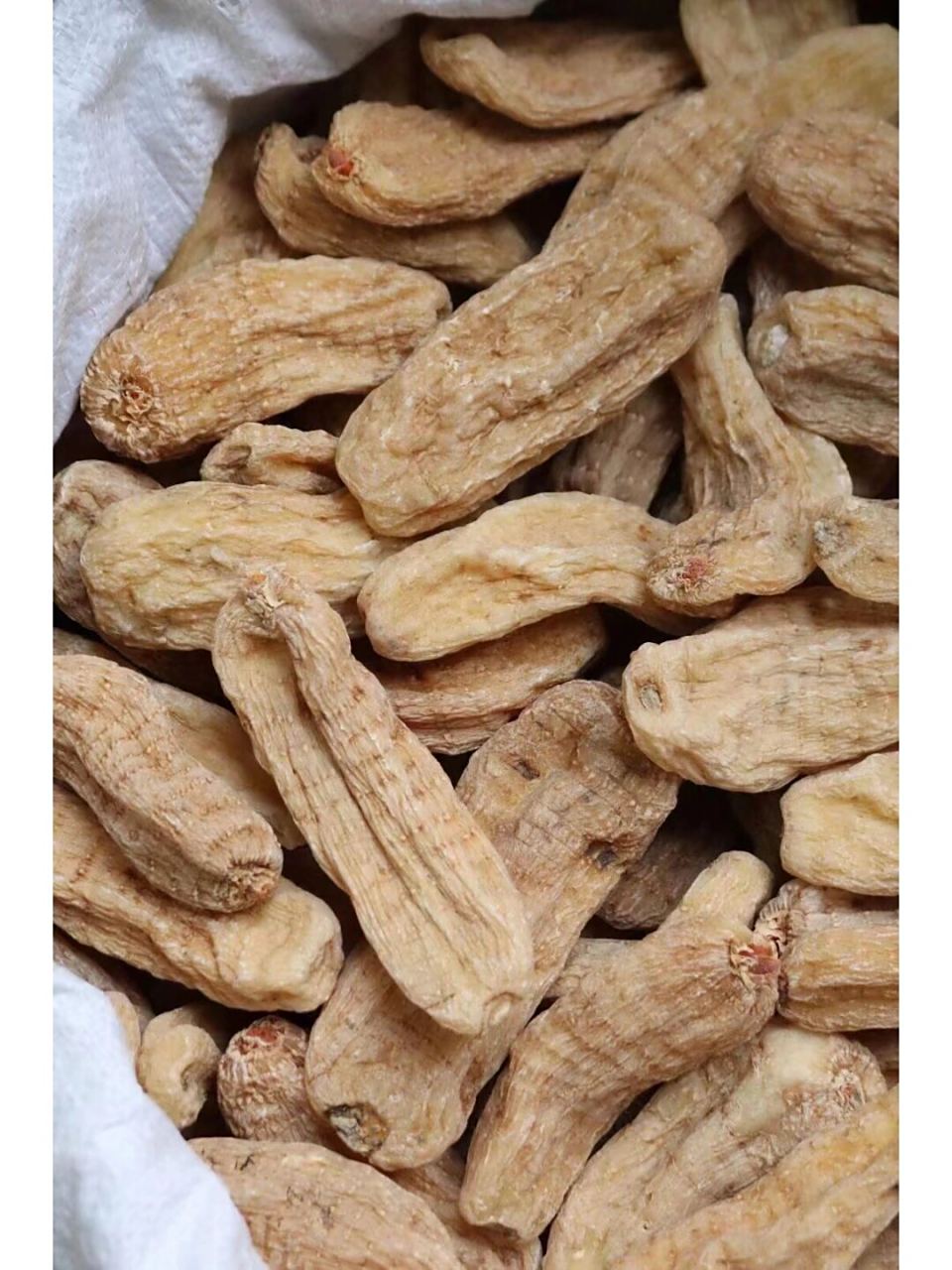 云南丽江大号红天麻 一斤大概7头左右 最漂亮最大的云南丽江天麻,最大