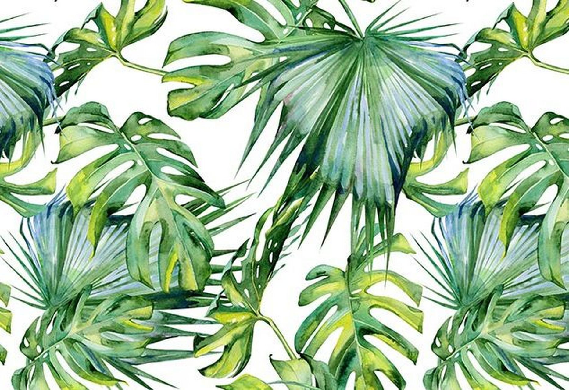 芭蕉纹样设计面料图案素材热带植物壁纸 中国古典诗词意象中有一种