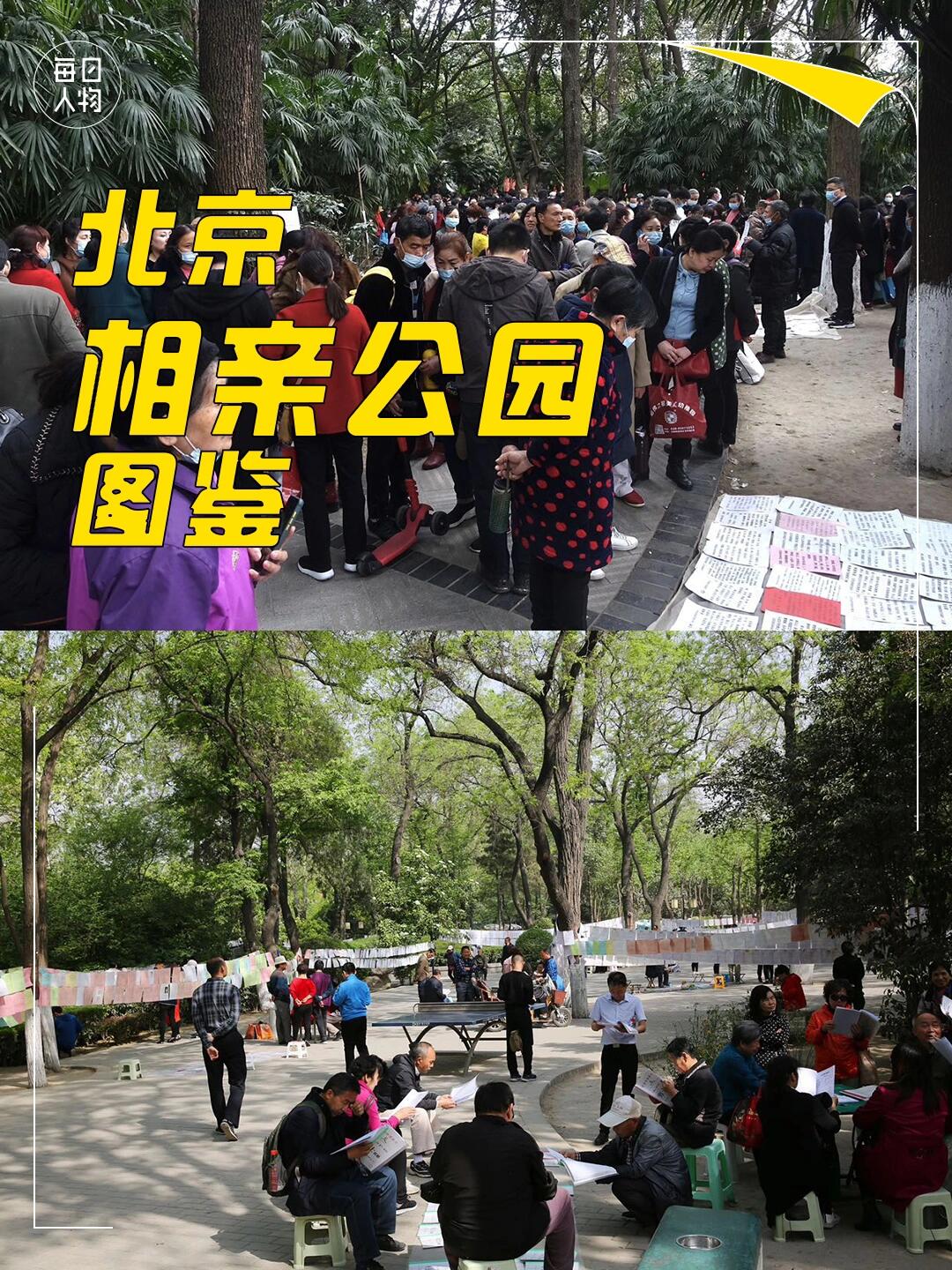 在北京公园相亲失败100次之后,我