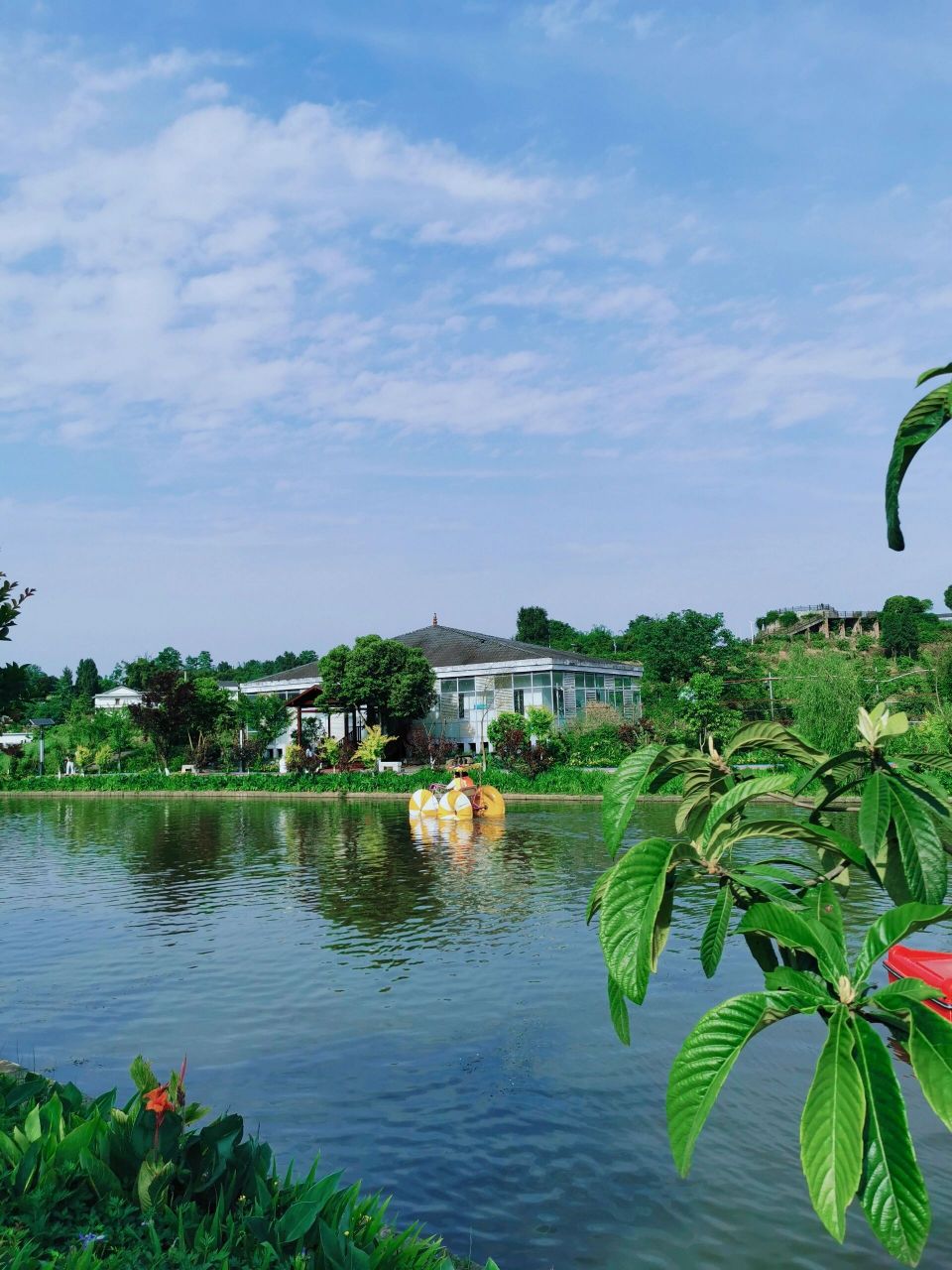 郊区游|重庆十大最美特色乡村 忠县阿金河 .