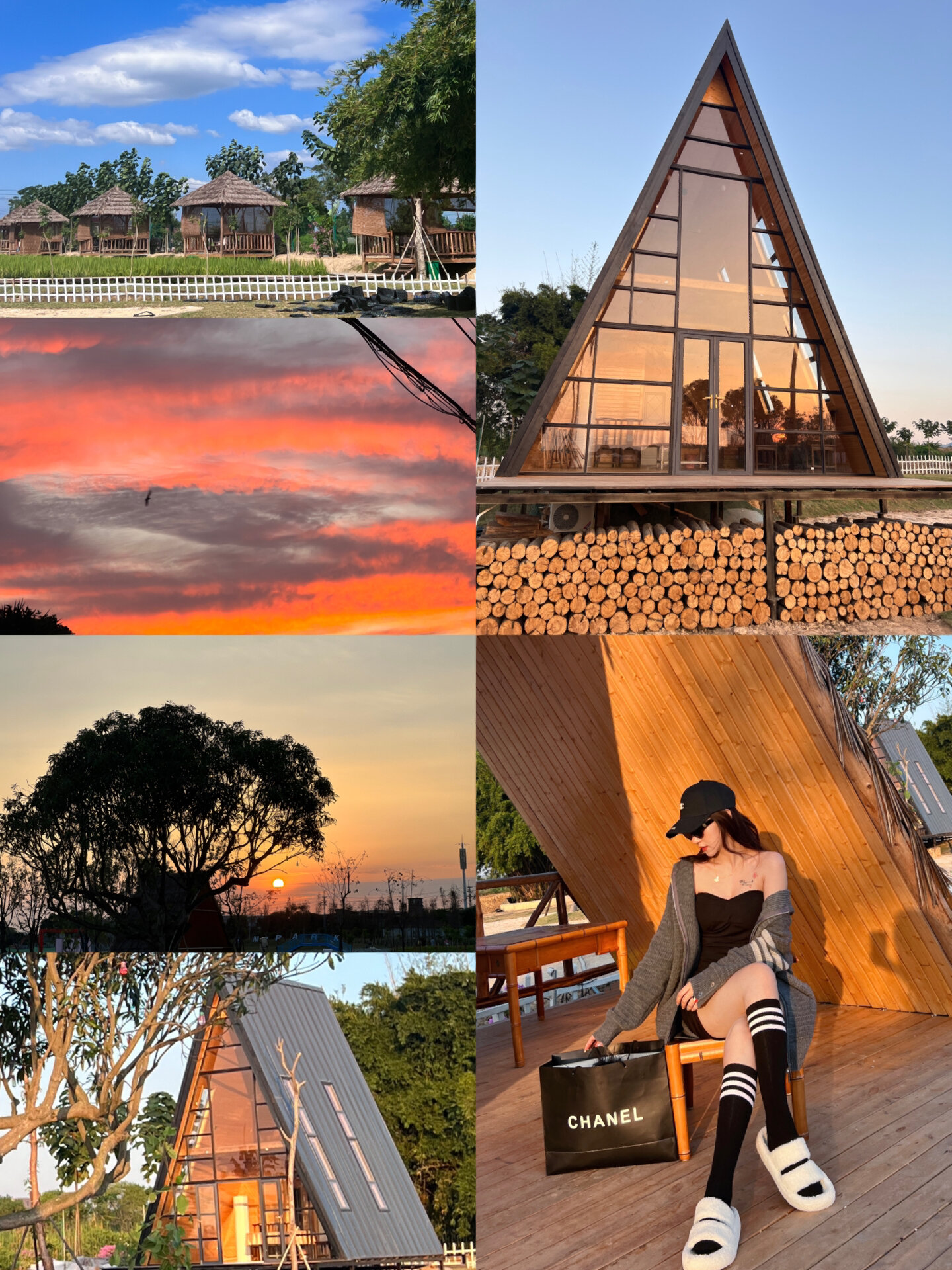 汕头澄海网红打卡地 隆都镇和美花海生态园