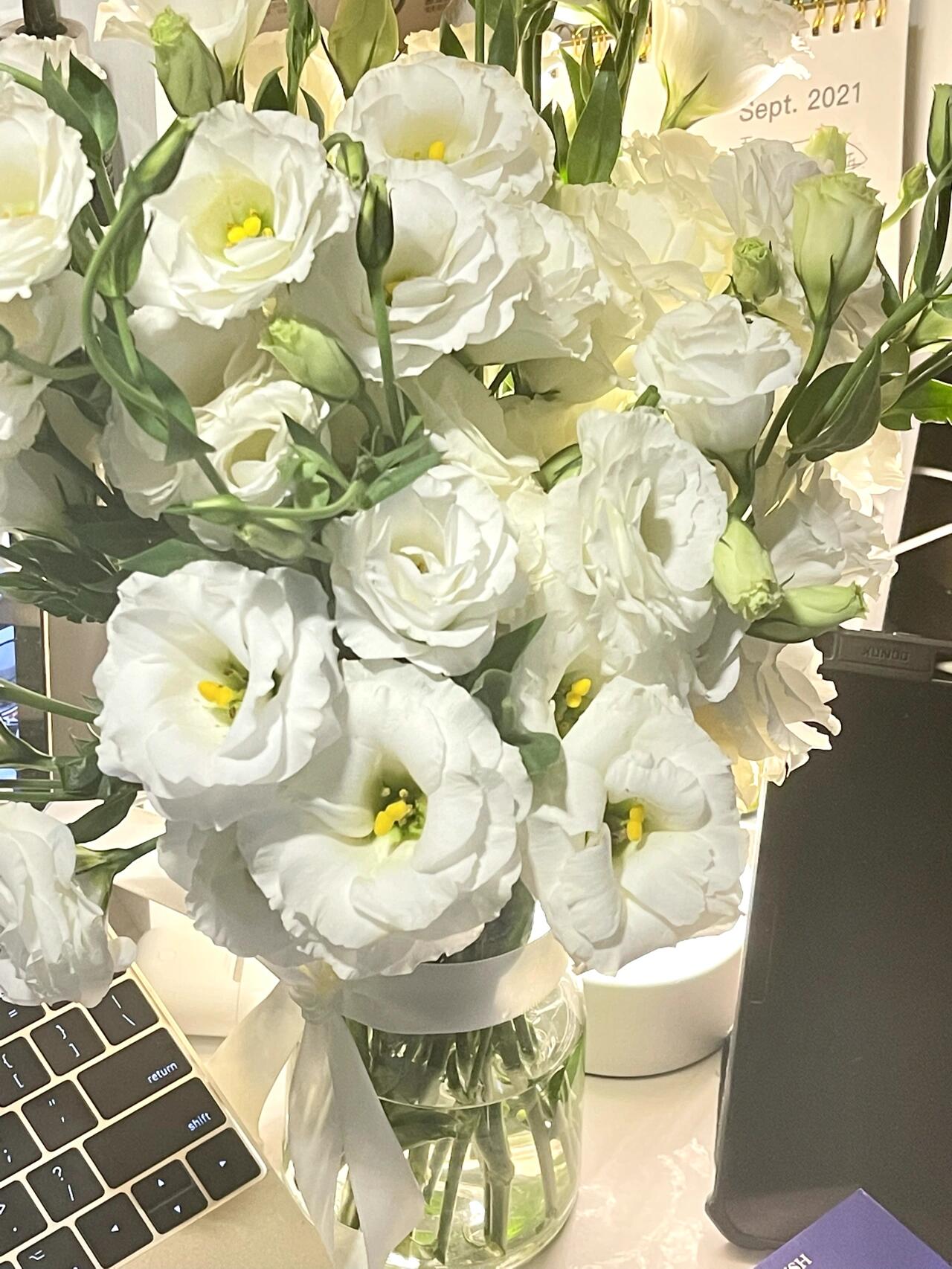 白色桔梗|永恒的爱