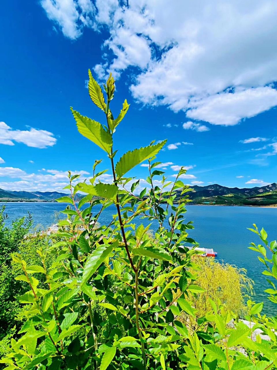 赤峰宁城|紫蒙湖一日游 山路蜿蜒98除了路况差点(能干费轮胎,全是坑