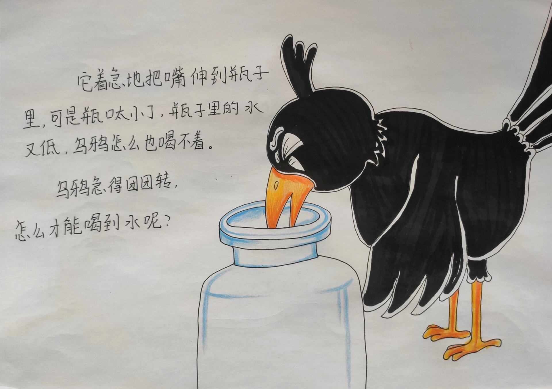 绘本故事——《乌鸦喝水》 彩铅,马克笔