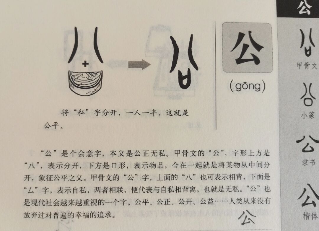 今天学"公"字