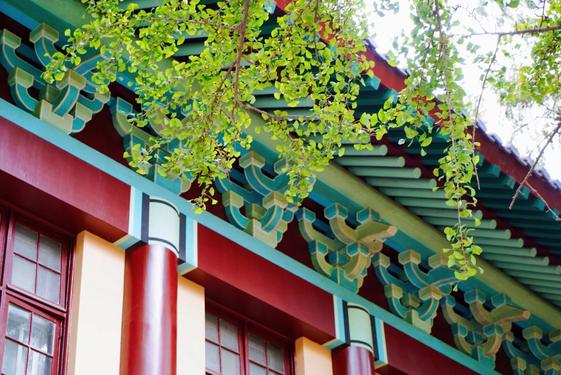 南师大随园校区