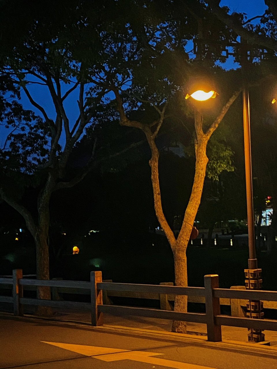 夜晚的普陀山 | 静谧而又美好91 吃完饭太适合散步了 很舒服很惬意