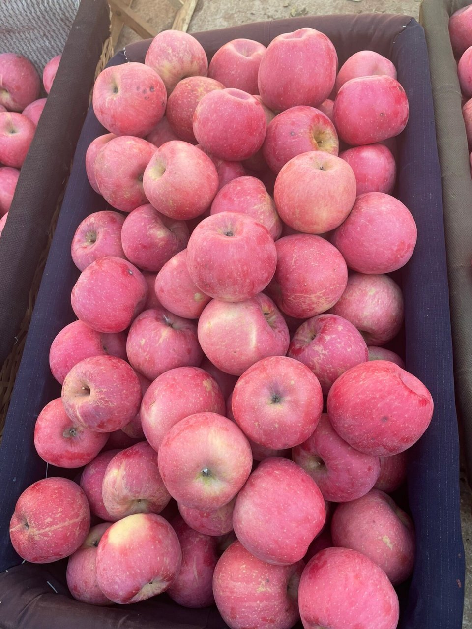 烟台红富士96 真实原产地,"心"鲜到你家.