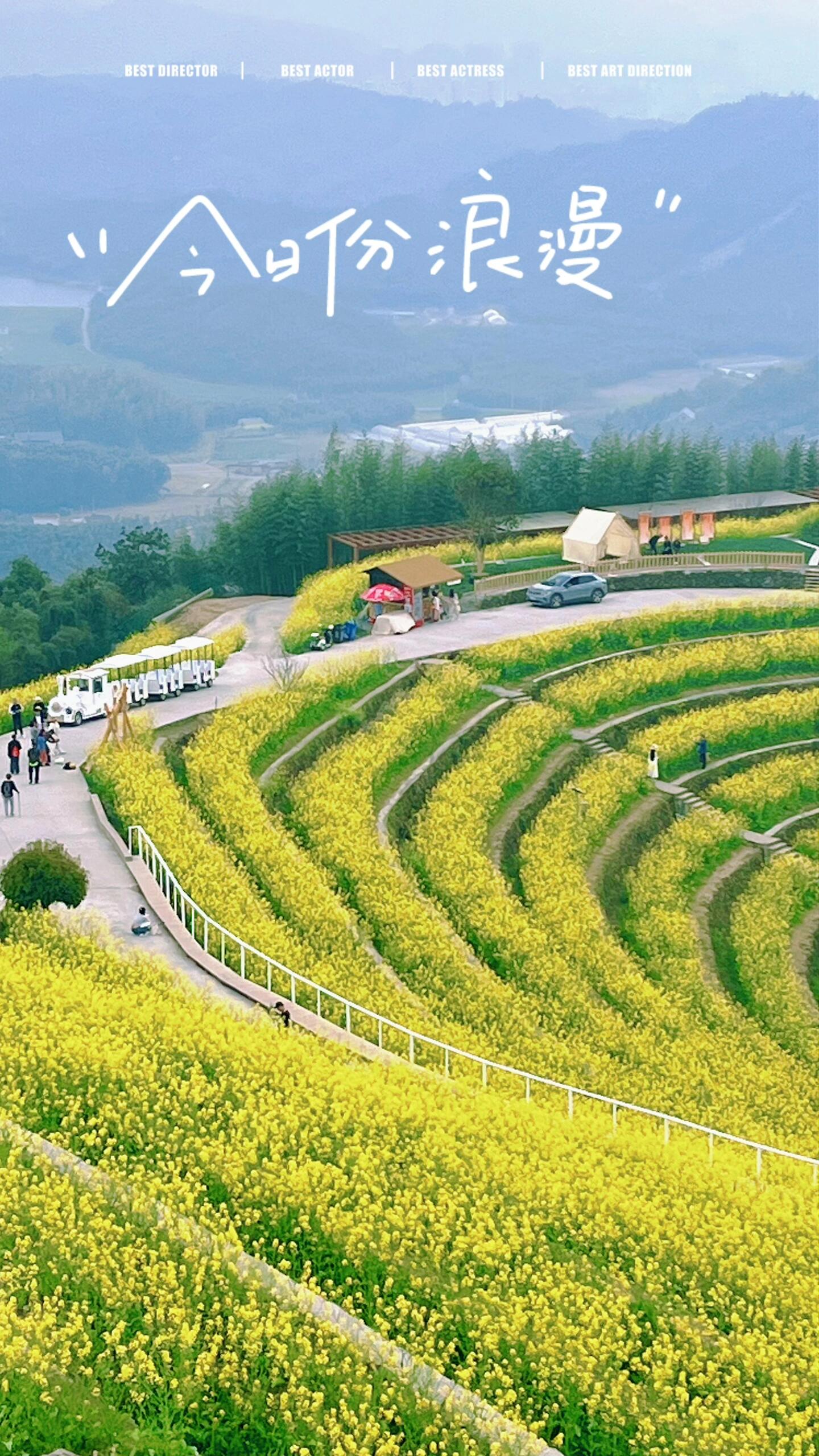 富阳新登黑山顶油菜花梯田
